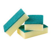 102418 Sponge Backed Scourers